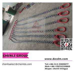 Quality Multi-leg lifting chain sling assembly wholesale