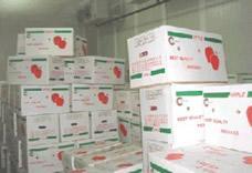 Commercial Cold room price 20ft container walk in freezer cold storage for keep fresh fruits /vegetables /fish/transportation