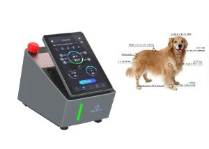 Quality Dogs Professional Laser Equipment CW Mode Level 4 980nm wholesale