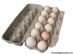 Egg Tray/Carton Drying System