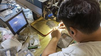 Shenzhen Golden Moon Trade Ltd.
