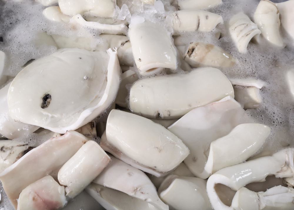 Frozen Boiled Giant Squid Fillet Bqf Darumar Thickness 6mm - 12mm origin china