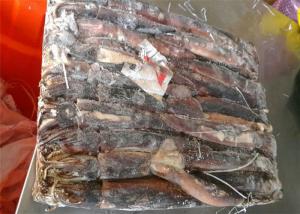 Quality A Grade Whole Round 150g Fresh Frozen Squid With Omega 3 wholesale