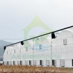 Tomato Growing Multi Span Polytunnel Plastic Film Greenhouse Farming Equipment