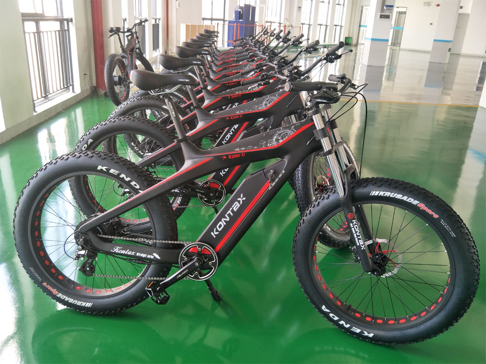 Hidden Battery 48V 500W Motor Folding Ebike with Suspension Fork and Super Light Mini