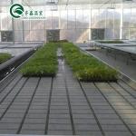 Multi-Span Agricultural Greenhouses CO2 Generator for Greenhouse