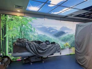 Quality Aluminum Frame MRI Shielding Mri Room Radiation Protection Shield wholesale