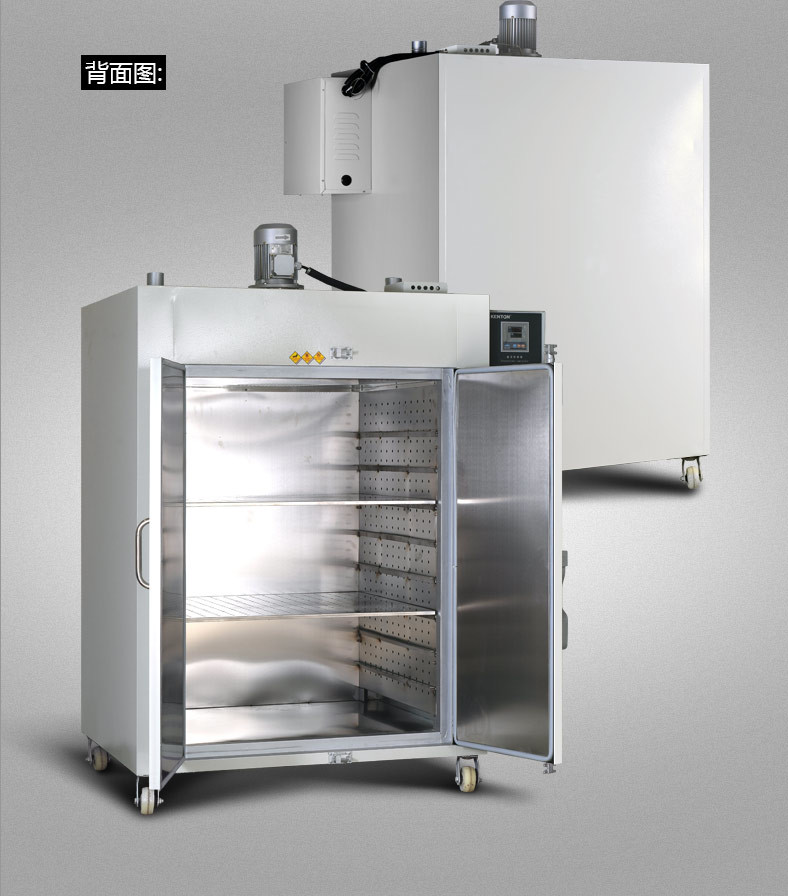 100C Forced Air Convection Lab Oven Hot Air Blast Catfish Drying Oven Commercial