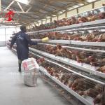 China Imported Coated Chicken Battery Cage ISO9001 , Layer Chicken Cage System 4