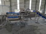 220v/ 380v/ Customized Salad Helix Washing Machine for Farms Fresh Cut