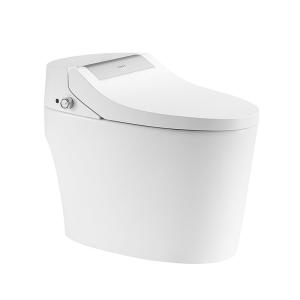 Quality ARROW Smart Toilet Seat 660x400x520mm Water And Air Dry Functional wholesale