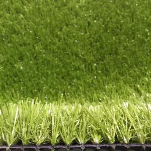 Quality Patio Residential Commercial Natural Grass Mat 9000D Or Customized wholesale