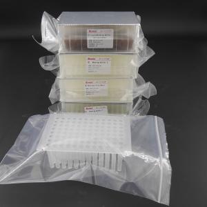 Quality V Bottom Viral DNA RNA Kit For Viral Nucleic Acid Extraction Prefilled Plates 96 Reactions wholesale