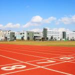 0.64 / 48 Friction Athletic Polyurethane Rubber Running Track Harmless