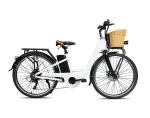 26 Inch 36V 250W Rear Hub Electric Bike With Front Disc Rear Disc Brake
