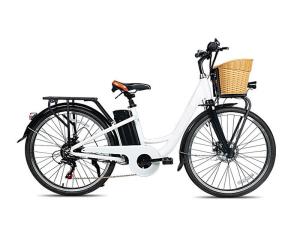 Quality 26 Inch 36V 250W Rear Hub Electric Bike With Front Disc Rear Disc Brake wholesale