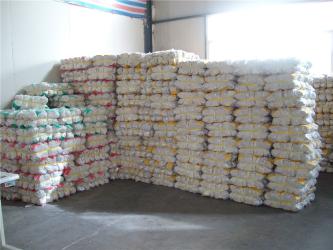 S & L Safety Protection Co., Ltd.
