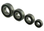 6205 2RS Radial Roller Bearings