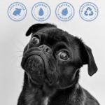 Oatmeal Aloe Pet Care Shampoo Shea Butter for Smelly Dogs Dry Itchy Skin