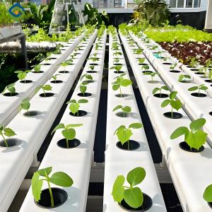 Quality Food Grade PVC Pipe NFT Channel Hydroponic Greenhouse Eco Friendly wholesale