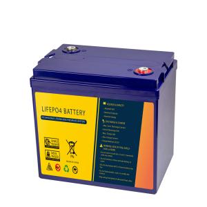 Quality Rechargeable 48V 30Ah Lightweight Motorcycle Battery For Starting wholesale