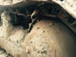 Used CAT D6G bulldozer year 2009 for sale