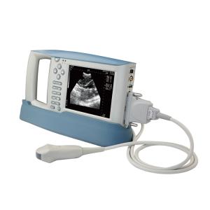 China B Mode Medical Ultrasound Machine Diagnostic KX5100 VET Veterinary  Instruments on sale