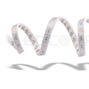 Quality 60 House RGBW 4 in 1 RGB LED Strips Lighting 19.2W , 12V Or 24V LED Strip Tape wholesale