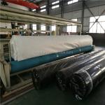 Polyester Nonwoven Geotextile 250gsm Needle Punched Fabric Long Fiber Short