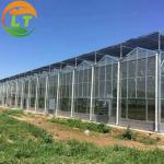 Glass for Outdoors Greenhouses Large Size and Hydroponic Nursery Sponge
