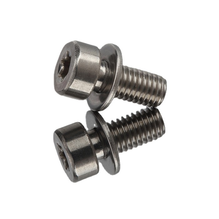 Din SUS304 Stainless Steel A2 Torx Socket Cup Head Seas Torx Machine Screw