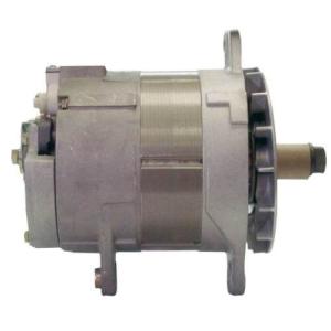 Quality Alternator 48v A0014417JB wholesale