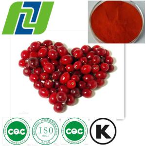 Quality Cranberry Extract Powder Procyanidin 50% wholesale
