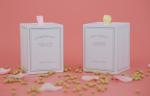 Decorative Luxury Scented Candles 100% Soy Wax Matte Glass Jar In White Color