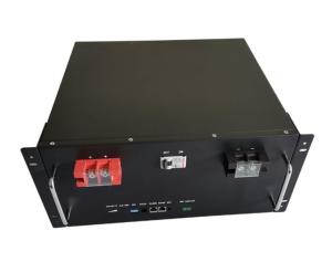 Quality 51.2v 100Ah 4u Module Lifepo4 Storage Battery RS485 For ESS wholesale