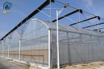 Agricultural Galvanized Steel Multi Span Greenhouse For Vegetable Cultivation