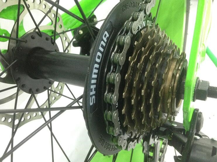 OEM 21 Speed 20 Inch Fat Tire Electric Bike