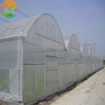 Multi Span Polytene Film Agricultural Greenhouse Gutter Height 3-6m for Shading
