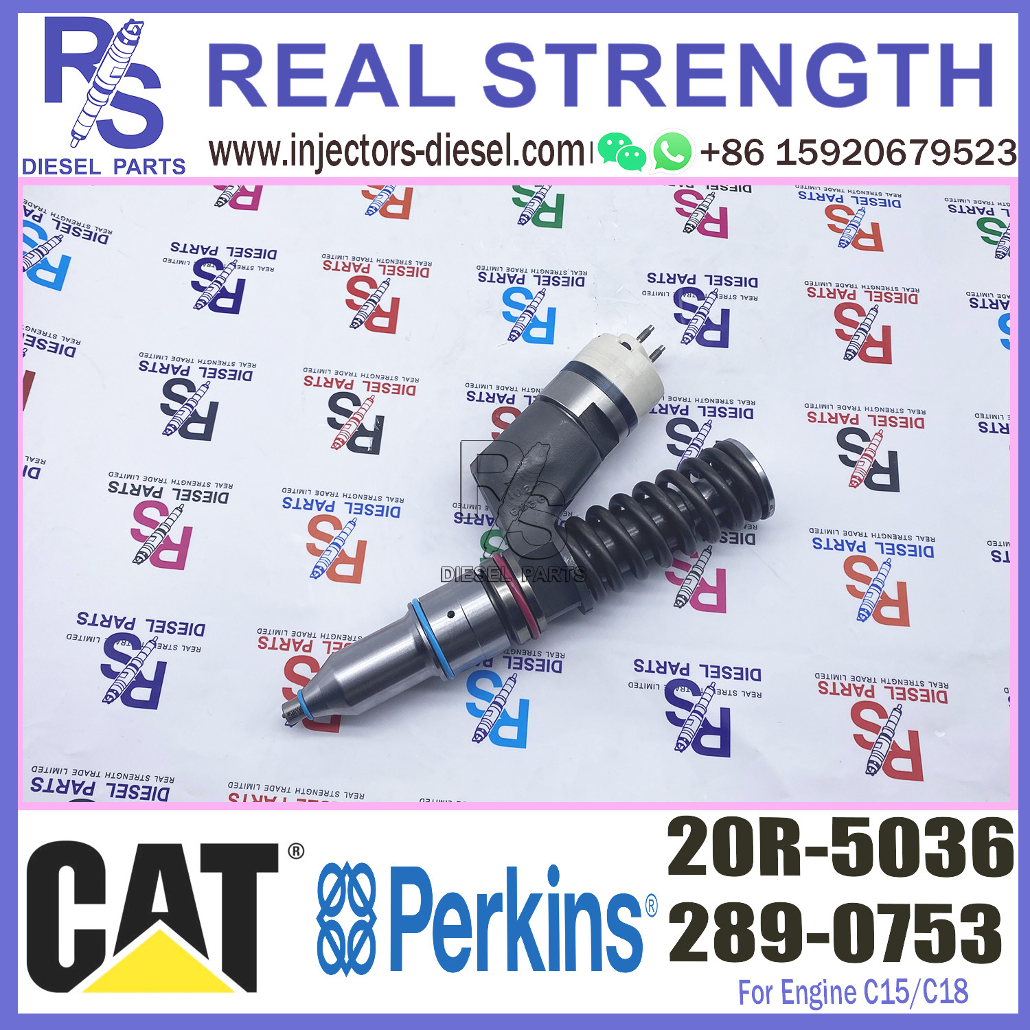 Diesel Engine Injector 289-0753 20R-5036 For Caterpillar C15/C18 Common Rail 20R-5036