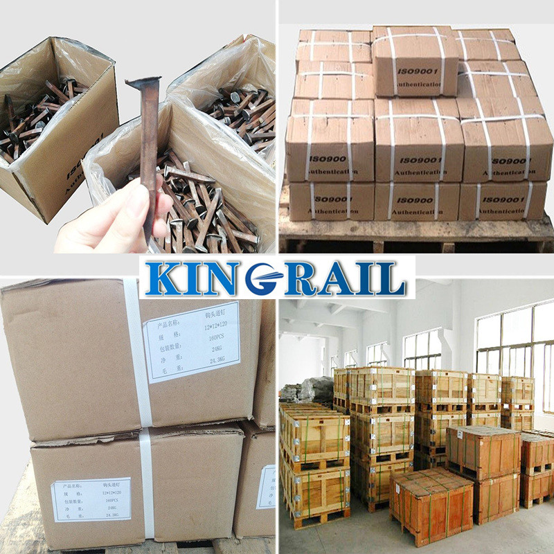 Q235 A Steel Grade 4.8 6.8 8.8 10.9 Screw Bolt For Wood Sleeper