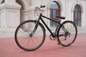 Quality SHIMANO High Carbon Steel Road Bicycle 700C Six Speed wholesale