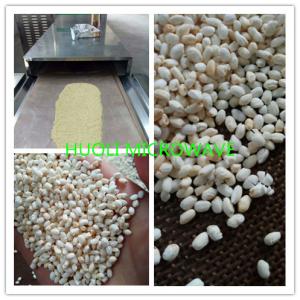 China Microwave drying Machine /Sterilizing Machine/dried nut Microwave dryer on sale