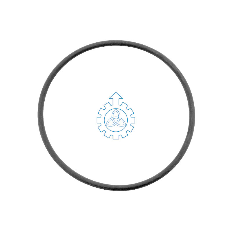 O-ring 5000821654,177431,191681,234338