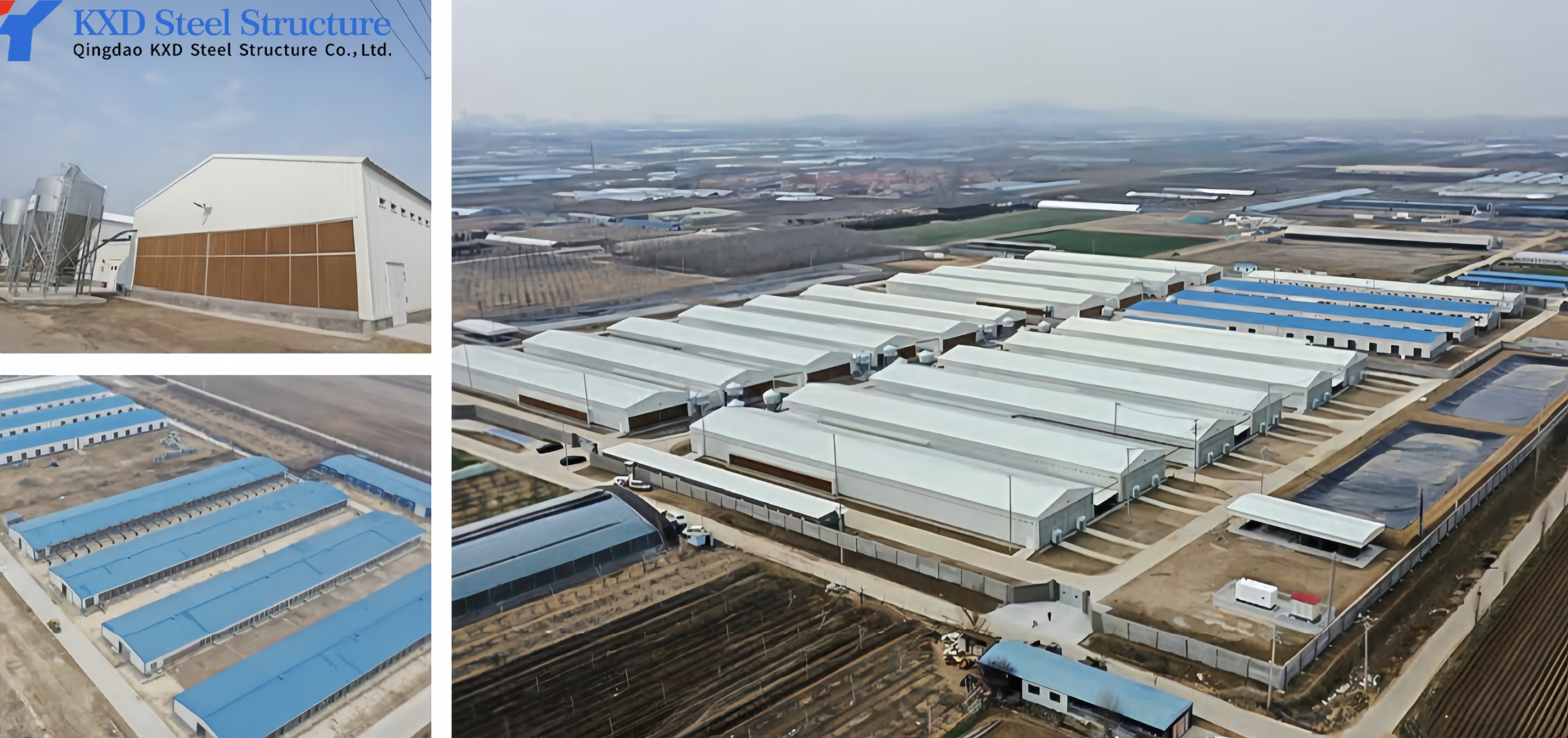 Broiler Cages for 1000 Birds Broiler Chicken Cage Poultry Transport Coop