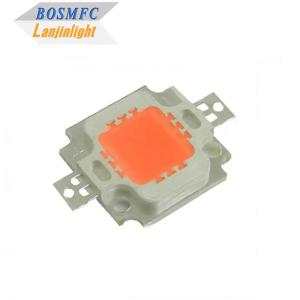 Quality COB 10W Indoor LED Grow Light Chip White Red Green Blue Yellow Full Spectrum wholesale