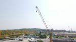 Mobile Tower Crane 8 Ton Max Capacity
