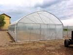 Agricultural Vegetable Tunnel Single Span Greenhouse Plastic Film 150 Micron