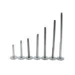 Corrosion Resistance Galvanized Metal Anchor Bolt for Drilling Installation and