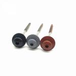 Aisi 316 SS A4 Torx Pan Coated Painted Head Timber Screw Type 17 W / EPDM Washer