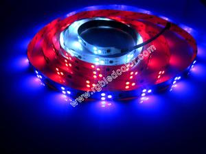 Quality 2811 digital rgb 3led pixel strip wholesale